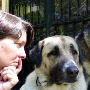 Photo of Karen Stewart