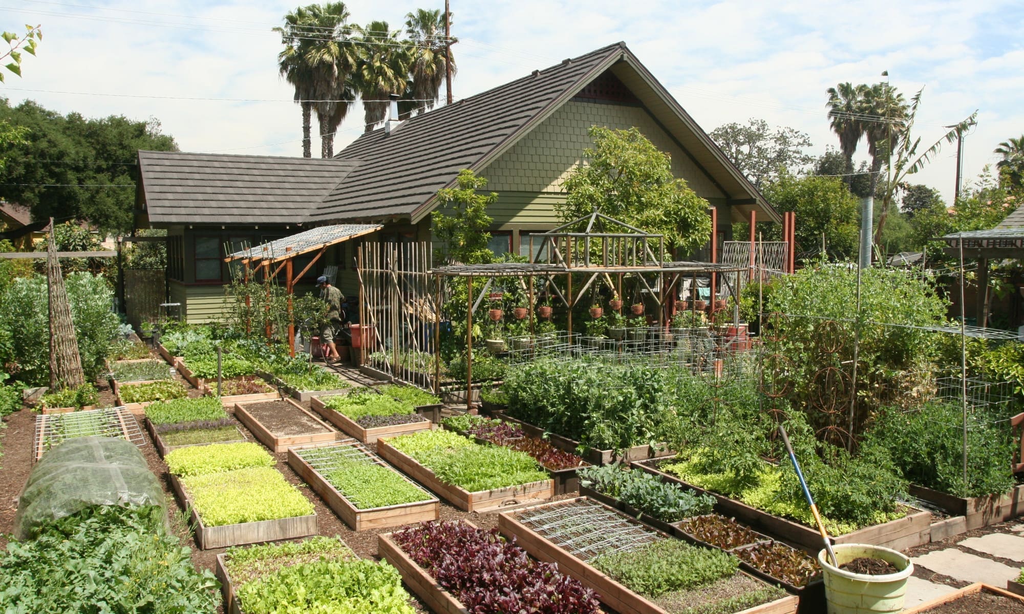 How To Produce More Food Than You Can Eat In A Small Space (Video ...