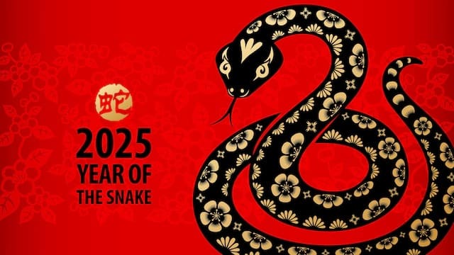 In The Year 2025 » Sons of Liberty Media