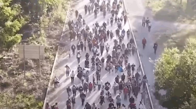 The Census Should Never Include Illegal Aliens » Sons of Liberty Media