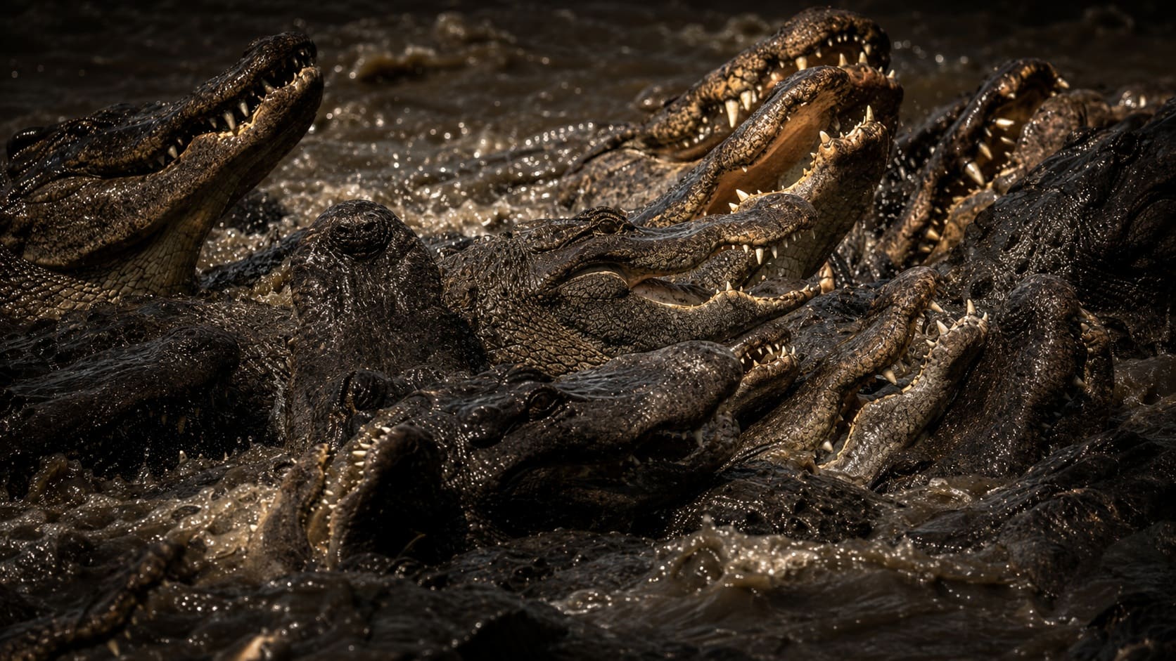 Israel Proposes Surrounding Prisons With Crocodiles
